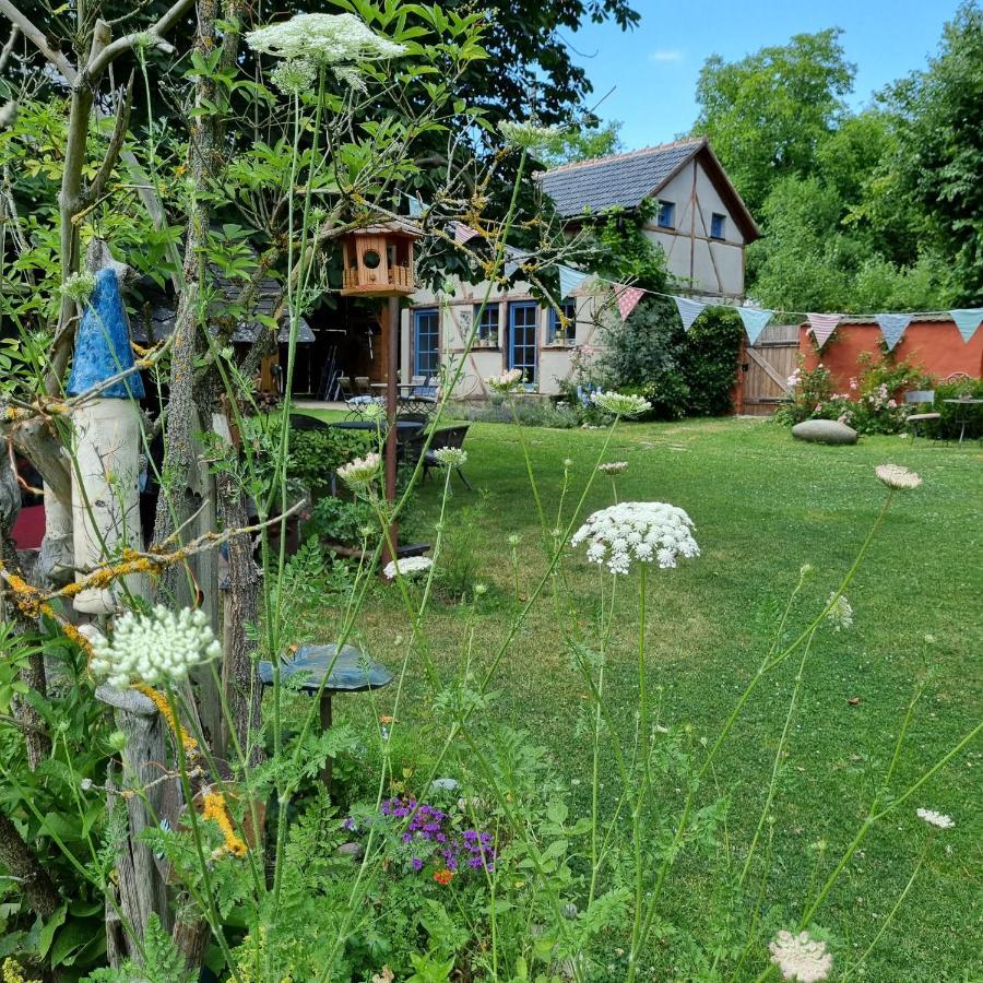 Lichtenhain  Ankommen, Wohlfuehlen Und Die Natur Geniessen מראה חיצוני תמונה